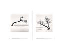 Книга Michael Kenna: Trees / Arbres, фото 3