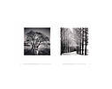 Книга Michael Kenna: Trees / Arbres, фото 4