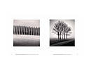 Книга Michael Kenna: Trees / Arbres, фото 5