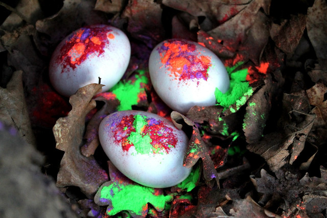 Великодні пригоди з Фарбою Холі Великодні пригоди з Фарбою Холі