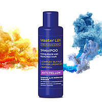 Шампунь для нейтрализации желтизны Master LUX Professional Anti-Yellow Shampoo 100 мл (19242L')