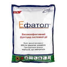 Фунгіцид Ефатол 2,5кг