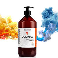 Шампунь для окрашенных волос Magnetique Organics Color Protect 1000 мл (15477L')