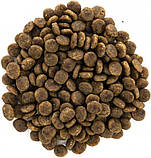 Сухий корм для вибагливих кішок Brit Care Cat GF Sensitive з індичкою та лососем 400 г (8595602540716), фото 4