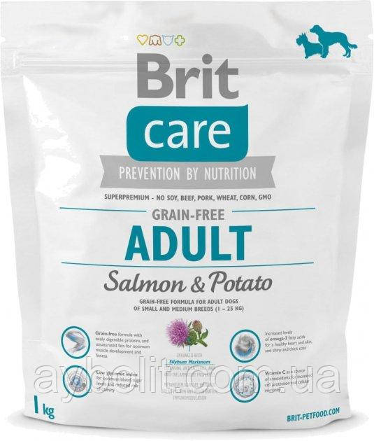 Сухий корм для собак вагою до 25 кг Brit Care GF Adult Salmon & Potato 1 кг (8595602510160)
