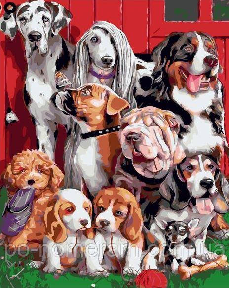 Акційна Картина за номерами Strateg Кудлаті друзі (SR-SY6204) 40 х 50 см, фото 1