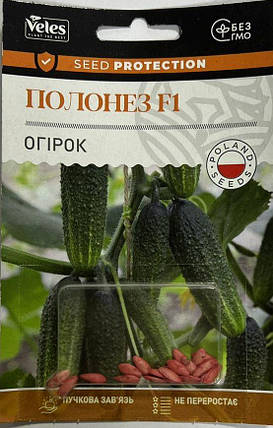 Насіння огірка Полонез F1 (партенокарпик) 25шт ІНКР. ТМ ВЕЛЕС, фото 1