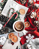 Алмазна мозаїка Різдвяна естетика My-Art TN1161 (40 x 50 см) на підрамнику