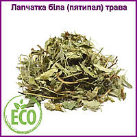 Лапчатка белая (Пятипал) трава сухая 500гр