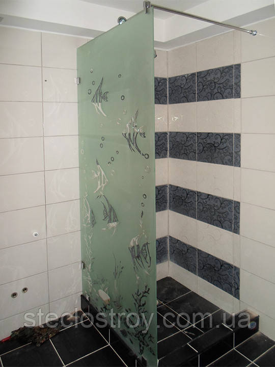 Скляні душові перегородки з одного скла (без дверей), фото 1