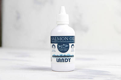 Landy Salmon Oil лососевий жир 100 мл