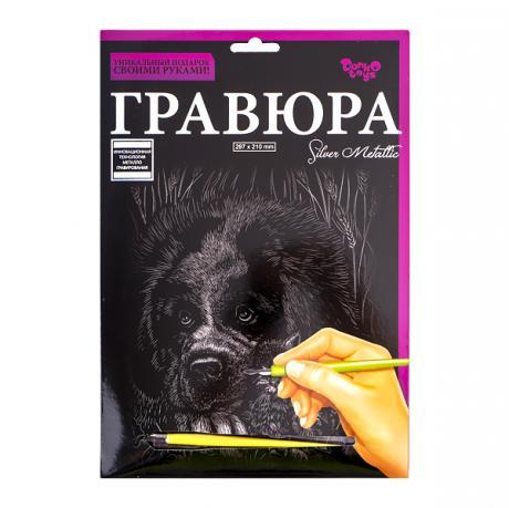 Гравюра А4 Danko toys (36) - фото 5 - id-p627026911