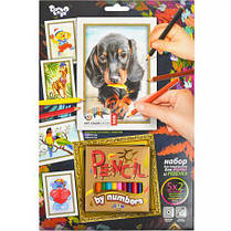 Розмальовка олівцями за номерами + 12 олівців Danko toys "Pencil by numbers" KNZ, фото 5