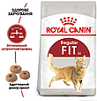 Сухий корм Royal Canin Fit 32 для дорослих кішок віком від 12 місяців до 7 років, 400 г, фото 5