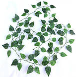 Штучна ліана плющ філодендрон лазний латекс 2 метри  12шт\уп, фото 2