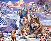 Набор Алмазная мозаика вышивка 40х50 Зима в лесу волки (квадрат. стразы, пол. выкладка, на подрам.) TN1156