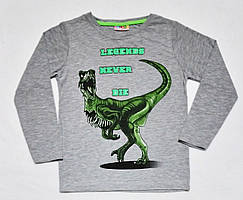 Світшот-джемпер-футболка з довгим рукавом для хлопчиків сірого кольору з накаткою "Динозавр " р 110-116