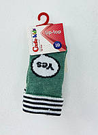Шкарпетки Tip-Top Зелений Бавовна 392 Конте
