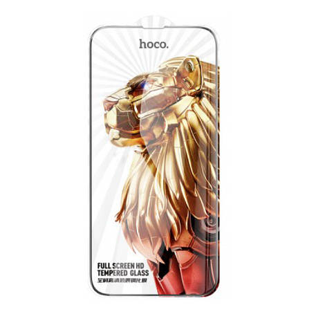 Захисне скло Hoco Guardian shield series full-screen anti-spy glass iP16 Pro (G15) Black, фото 1
