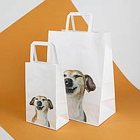 Пакет под Прикольные подарки 220*120*290 Детские подарочные пакеты с рисунком "Смешной собака"