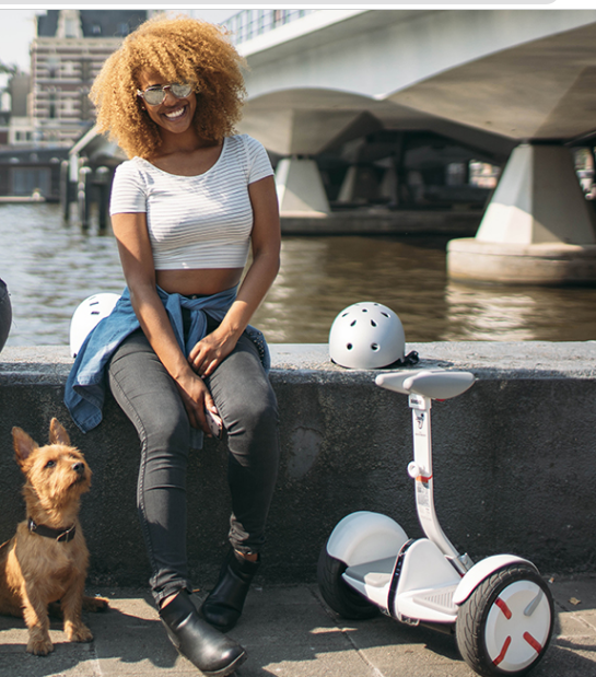 Гироскутер с ручкой Мини Сигвей Xiaomi Ninebot Mini Pro Найнбот Мини ...