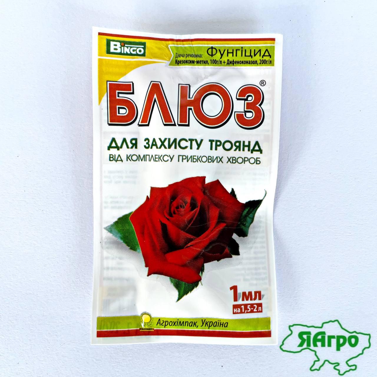 Купить ФУНГИЦИД БЛЮЗ ДЛЯ ЗАЩИТЫ РОЗ 1 МЛ BINGO, цена 17 ₴ — Prom.ua (ID ...