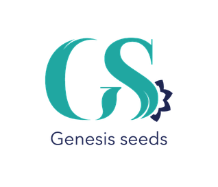 ГЕНЕЗІС СІДС