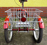 Триколісний велосипед для дітей з ДЦП TOLEK Children Special Bike, фото 3