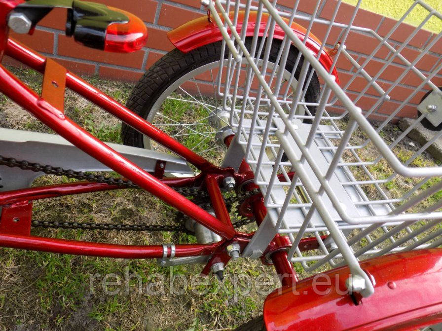 Триколісний велосипед для дітей з ДЦП TOLEK Children Special Bike, фото 1