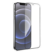 Защитное стекло для iPhone 12/12Pro 6.1" HOCO G9