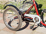 TOLEK Special Bike реабілітаційний триколісний велосипед зі спинкою, фото 5