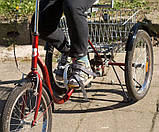TOLEK Special Bike реабілітаційний триколісний велосипед зі спинкою, фото 3