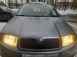 Зимова накладка на решітку Матова для Skoda Fabia 2000-2007 рр, фото 3