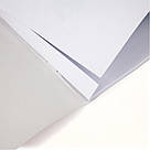 Зошит для малювання Kite My Little Pony 12 аркушів LP21-241, фото 6