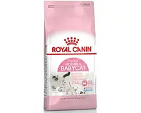Сухой корм Royal Canin Mother & Babycat для котят в возрасте до 4 месяцев 2 кг