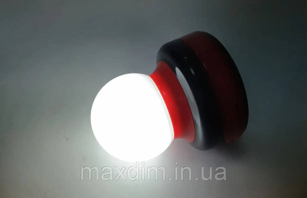 4121653248_w1280_h640_fonar-