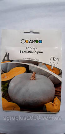 Насіння Гарбуз Волзька Сіра 10 грамів Садиба, фото 1