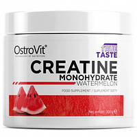 Креатин моногидрат OstroVit CREATINE 300 грамм с вкусовыми добавками