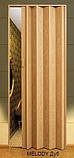 Двері гармошка глухі, дуб 81х203. Міжкімнатні двері гармошка Melodi. Доставка., фото 2