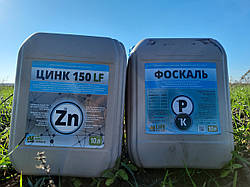 Насіння проса ЗОЛУШКА 45-50 днів. Сорт проса ЗОЛУШКА 35-40 ц/га. Просо ЗОЛУШКА вихід крупи 80%. 1 репродукція.