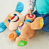 Розумне цуценя Fisher Price, фото 8