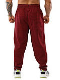 Штани Big Sam 1352 Червоні, фото 2