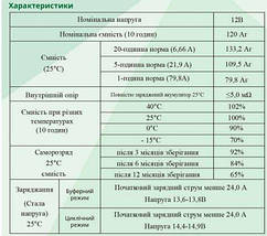 Акумулятор Гелевий - 12V 120 Ah ➡ TM BlueSun 🔥 ОРИГІНАЛ 🔥 Гарантія 12 місяців, фото 3
