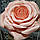 Торшер-нічник "Кремова троянда" (ДТР08030302), фото 7