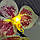 Світильник-нічник "Біло-бузкова орхідея" (КО11042203), фото 5