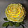 Світильник-нічник "Лимонна троянда" (ТР05041103), фото 4