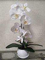 Штучна латексна орхідея VIP у білому керамічному кашпо на одну гілку біла (ОКГ01040103)