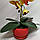 Штучна латексна орхідея VIP у червоному керамічному кашпо на одну гілку жовто-червона (ОКГ09042303), фото 3