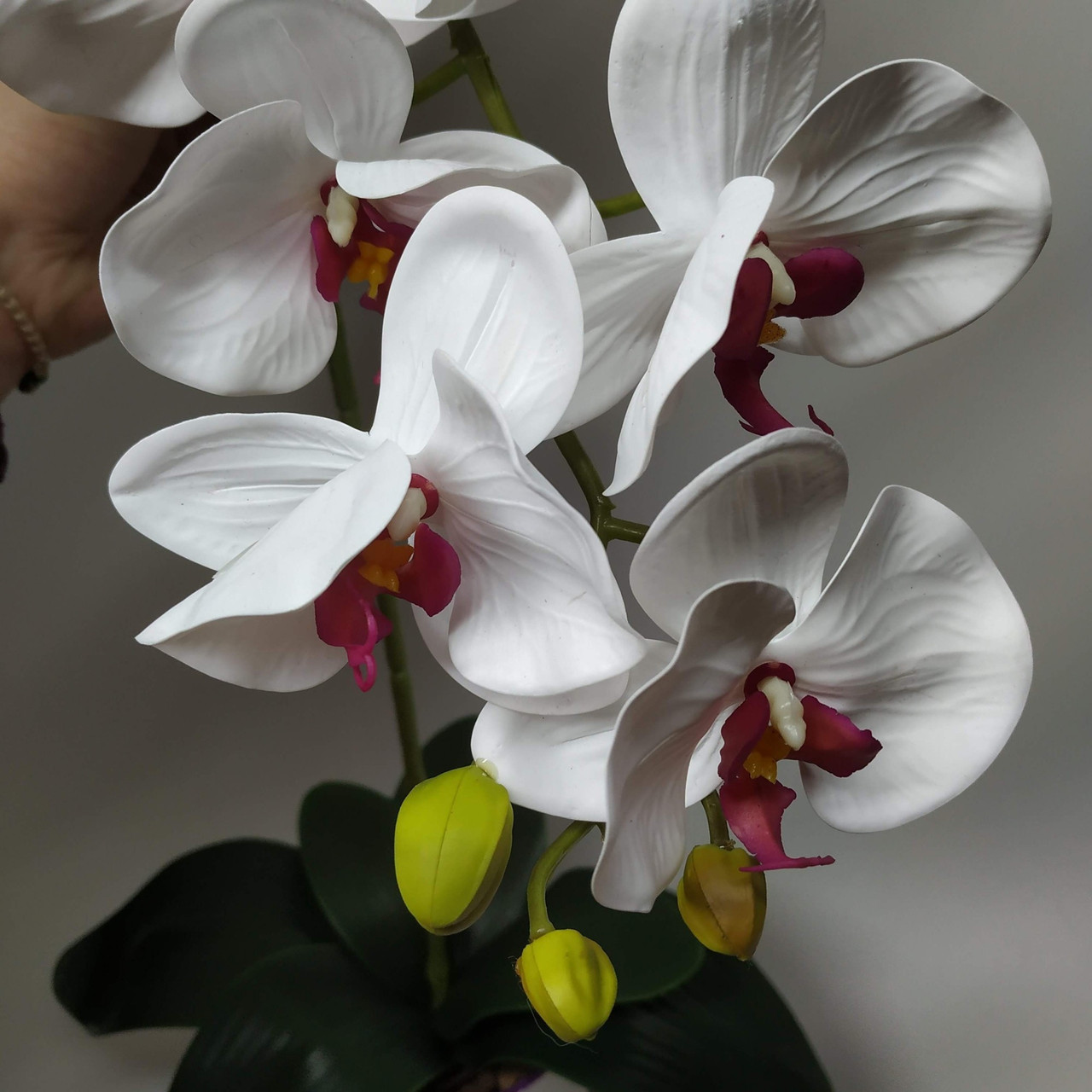 Искусственная латексная орхидея VIP в белом керамическом кашпо на одну ветку белая (ОКГ01043103) - фото 2 - id-p1723152791