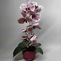 Штучна латексна орхідея VIP у малиновому керамічному кашпо на одну гілку біло-малинова (ОКГ09043303)